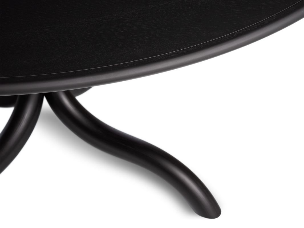 KOLHO round table