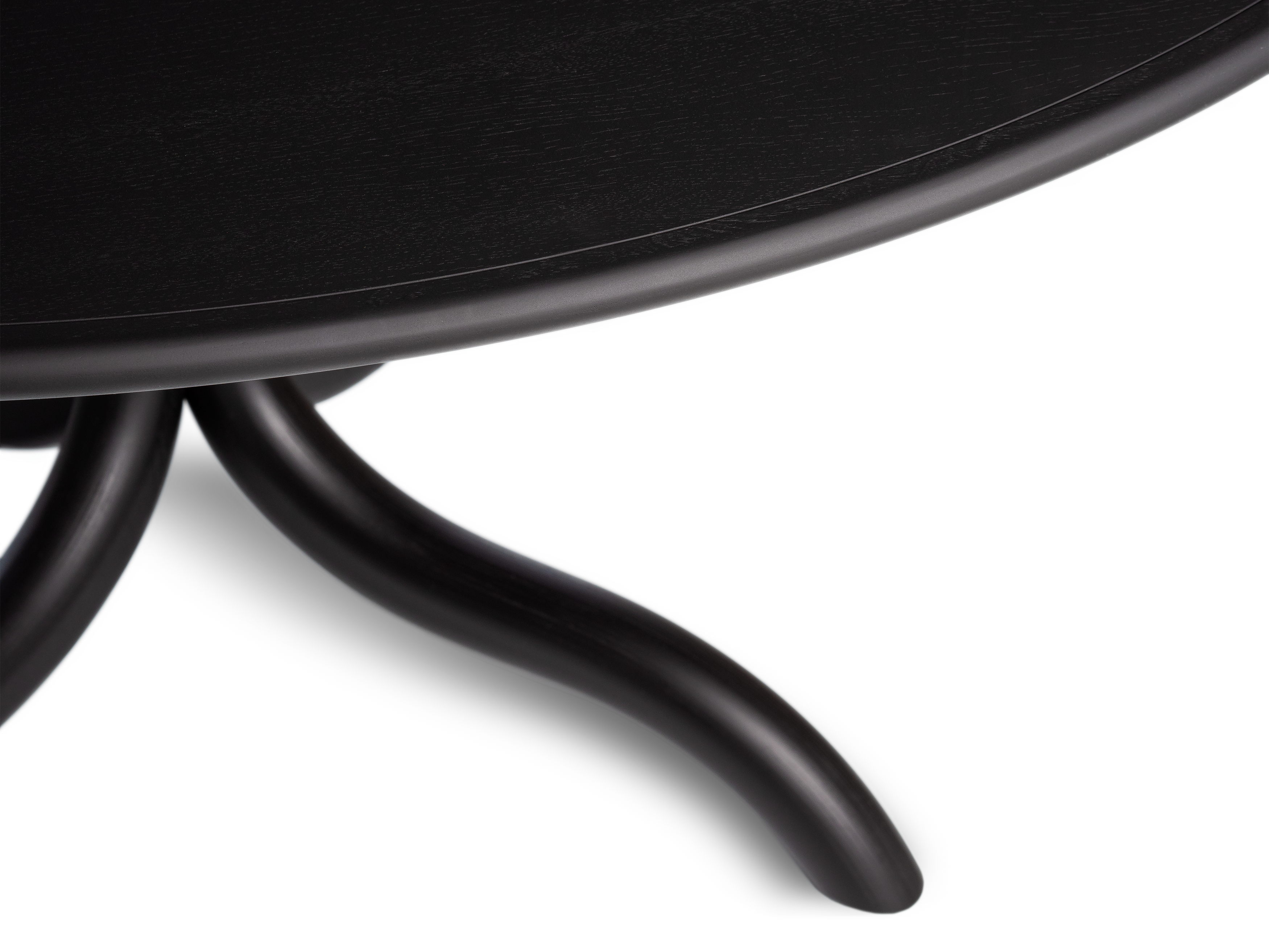 KOLHO round table
