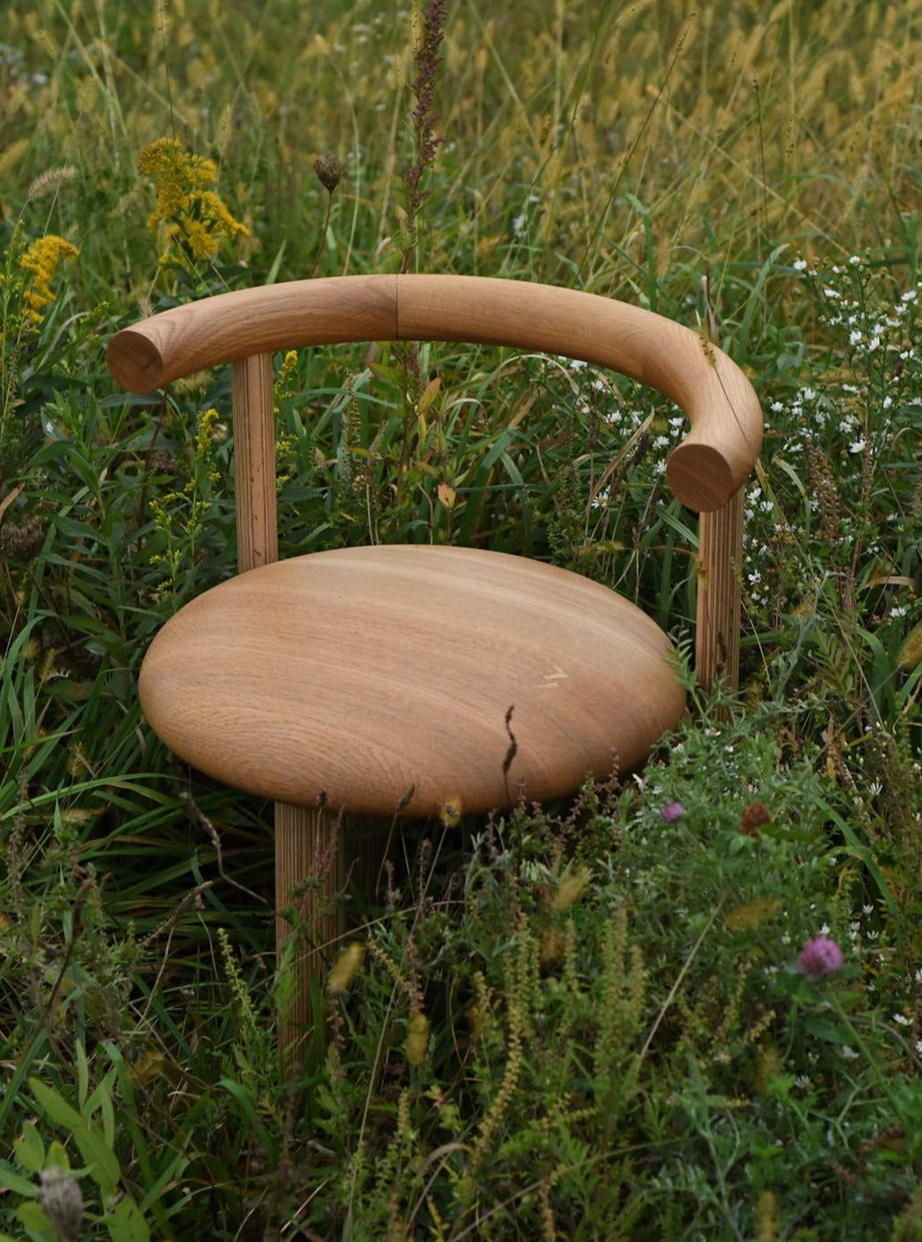 SIENI chair